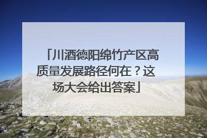 川酒德阳绵竹产区高质量发展路径何在？这场大会给出答案