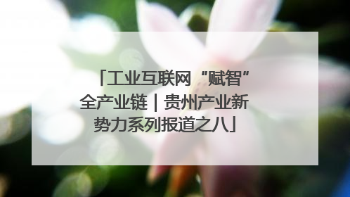工业互联网“赋智”全产业链｜贵州产业新势力系列报道之八
