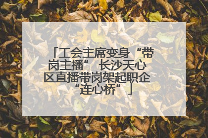 工会主席变身“带岗主播” 长沙天心区直播带岗架起职企“连心桥”