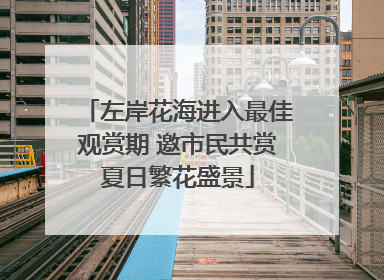 左岸花海进入最佳观赏期 邀市民共赏夏日繁花盛景