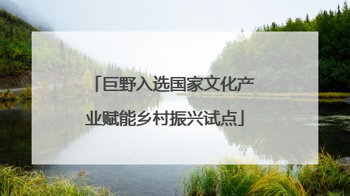 巨野入选国家文化产业赋能乡村振兴试点