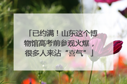 已约满！山东这个博物馆高考前参观火爆，很多人来沾“喜气”