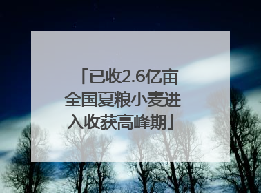 已收2.6亿亩 全国夏粮小麦进入收获高峰期