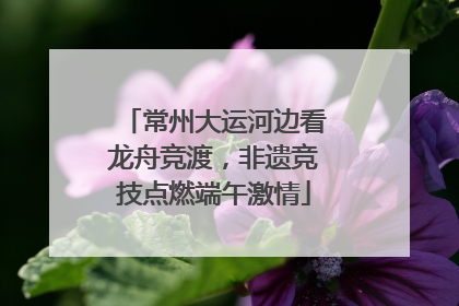 常州大运河边看龙舟竞渡，非遗竞技点燃端午激情