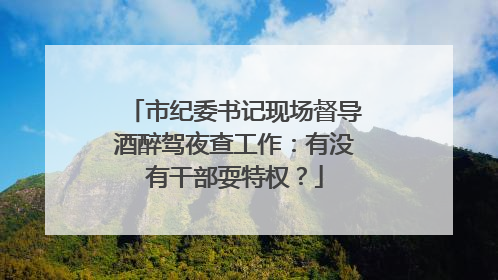 市纪委书记现场督导酒醉驾夜查工作：有没有干部耍特权？