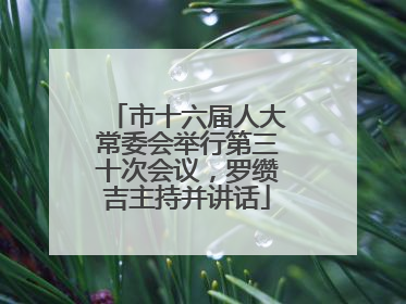 市十六届人大常委会举行第三十次会议，罗缵吉主持并讲话