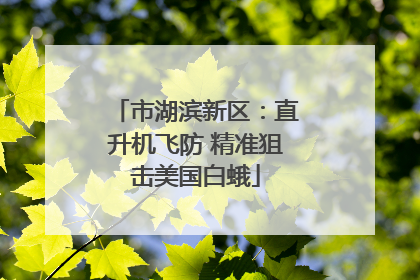 市湖滨新区：直升机飞防 精准狙击美国白蛾