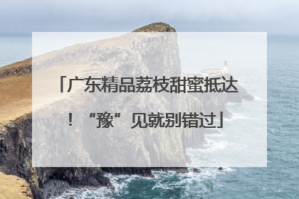 广东精品荔枝甜蜜抵达！“豫”见就别错过