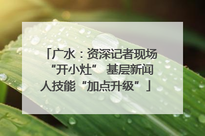 广水：资深记者现场“开小灶” 基层新闻人技能“加点升级”