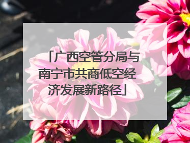广西空管分局与南宁市共商低空经济发展新路径