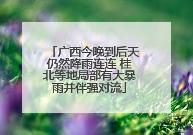 广西今晚到后天仍然降雨连连 桂北等地局部有大暴雨并伴强对流