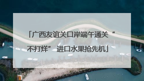 广西友谊关口岸端午通关“不打烊” 进口水果抢先机