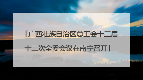 广西壮族自治区总工会十三届十二次全委会议在南宁召开