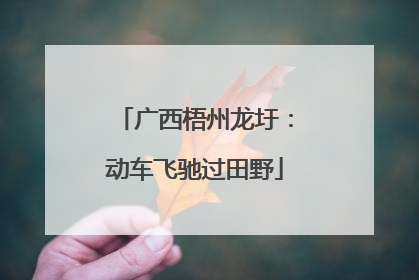 广西梧州龙圩：动车飞驰过田野