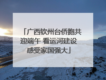 广西钦州台侨胞共迎端午 看运河建设感受家国强大