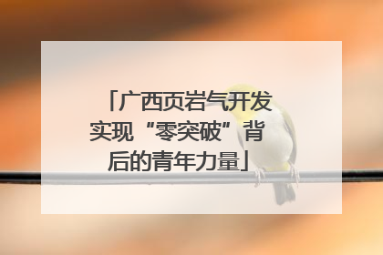 广西页岩气开发实现“零突破”背后的青年力量