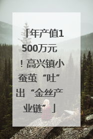 年产值1500万元！高兴镇小蚕茧“吐”出“金丝产业链”
