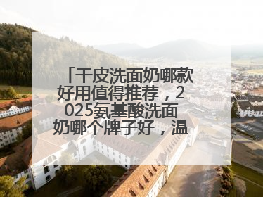 干皮洗面奶哪款好用值得推荐，2025氨基酸洗面奶哪个牌子好，温和在线