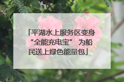 平湖水上服务区变身“全能充电宝” 为船民送上绿色能量包