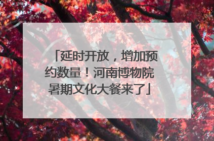 延时开放，增加预约数量！河南博物院暑期文化大餐来了