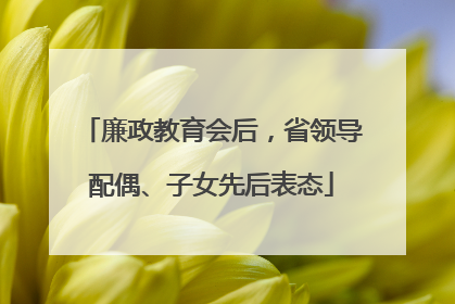 廉政教育会后，省领导配偶、子女先后表态