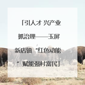 引人才 兴产业 抓治理——玉屏新店镇“红色动能”赋能强村富民