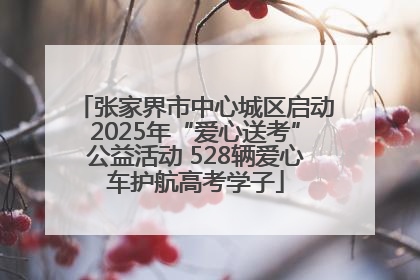 张家界市中心城区启动2025年“爱心送考”公益活动 528辆爱心车护航高考学子
