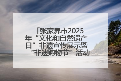 张家界市2025年“文化和自然遗产日”非遗宣传展示暨“非遗购物节”活动在慈利县盛大启幕