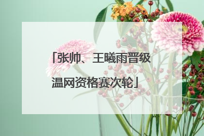 张帅、王曦雨晋级温网资格赛次轮