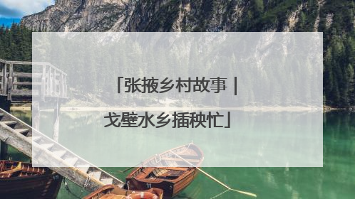 张掖乡村故事｜戈壁水乡插秧忙