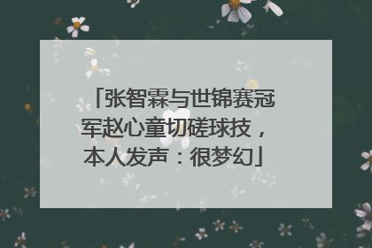 张智霖与世锦赛冠军赵心童切磋球技，本人发声：很梦幻
