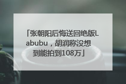 张朝阳后悔送回绝版Labubu，胡润称没想到能拍到108万