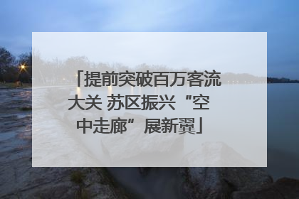 提前突破百万客流大关 苏区振兴“空中走廊”展新翼