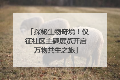 探秘生物奇境！仪征社区主题展览开启万物共生之旅