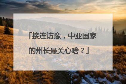 接连访豫，中亚国家的州长最关心啥？
