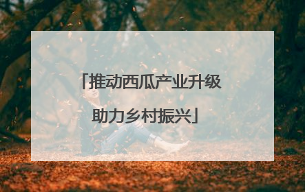 推动西瓜产业升级 助力乡村振兴