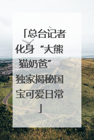 总台记者化身“大熊猫奶爸” 独家揭秘国宝可爱日常
