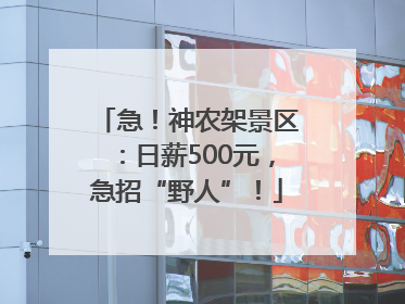 急！神农架景区：日薪500元，急招“野人”！