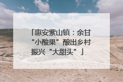 惠安紫山镇：余甘“小酸果”酿出乡村振兴“大甜头”