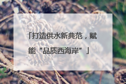 打造供水新典范，赋能“品质西海岸”