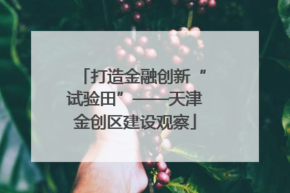 打造金融创新“试验田”——天津金创区建设观察