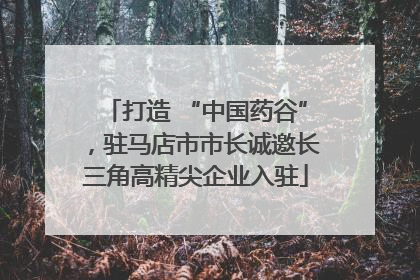 打造 “中国药谷”，驻马店市市长诚邀长三角高精尖企业入驻