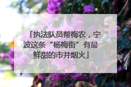 执法队员帮梅农，宁波这条“杨梅街”有最鲜甜的市井烟火
