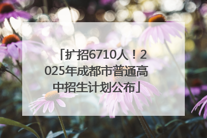 扩招6710人！2025年成都市普通高中招生计划公布
