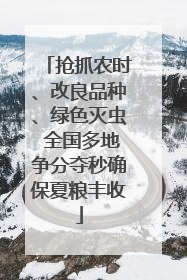 抢抓农时、改良品种、绿色灭虫 全国多地争分夺秒确保夏粮丰收