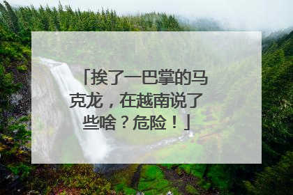 挨了一巴掌的马克龙，在越南说了些啥？危险！