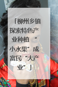 柳州乡镇探索特色产业种植 “小水果”成富民“大产业”