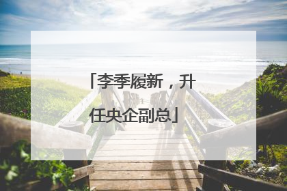 李季履新，升任央企副总