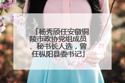 杨秀颀任安徽铜陵市政协党组成员、秘书长人选，曾任枞阳县委书记