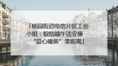 杨园街道电信片区工会小组：粽情端午送安康 “益心暖新”零距离